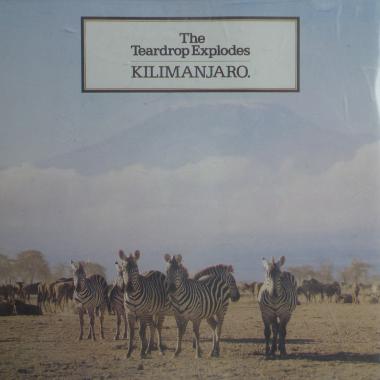 The Teardrop Explodes -  Kilimanjaro